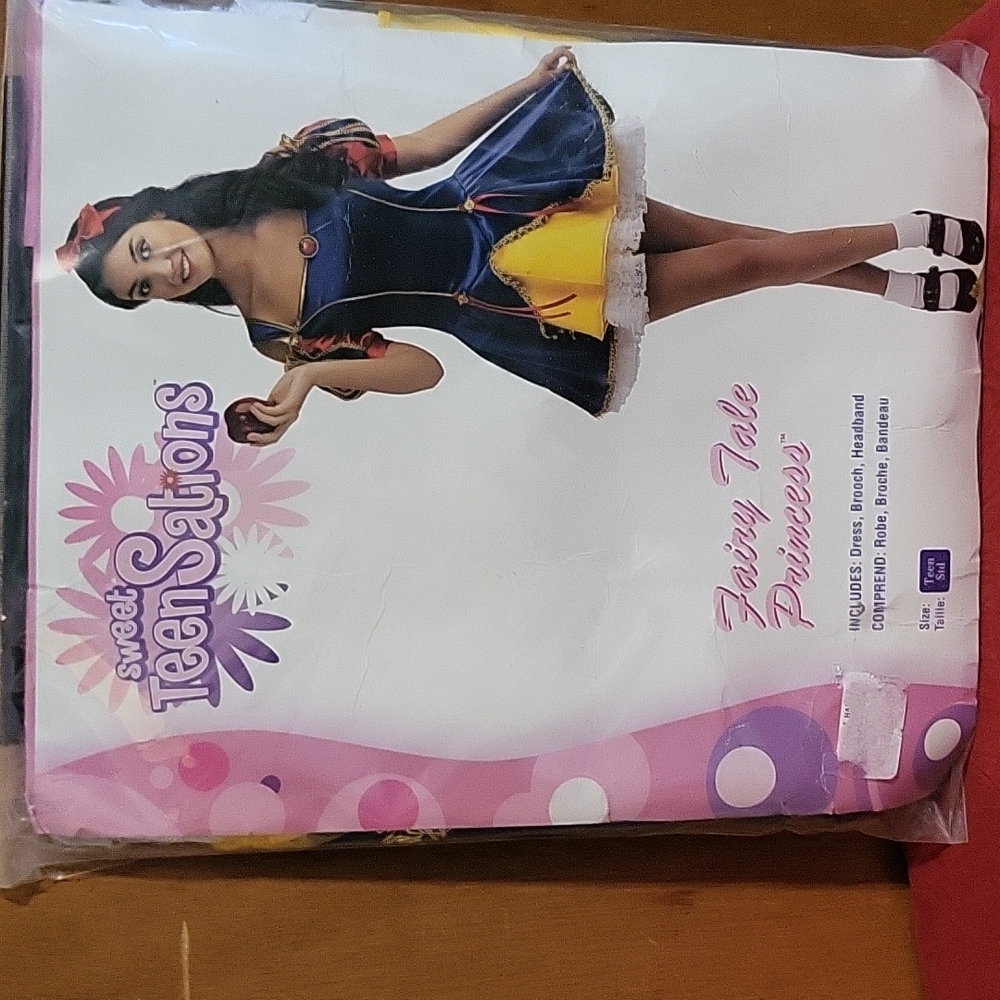 Teen Girls "Fairy Tale Princess" Costume